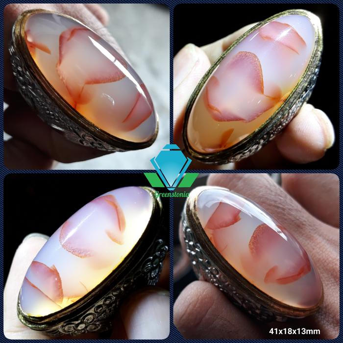 Batu Pandan Sisik Arwana Kelopak Merah LANGKA