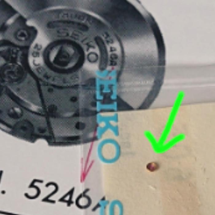 Diashock Hole Jewel w/Frame u/ Seiko 4S15 5206 5216 5245 5246 5256 KS