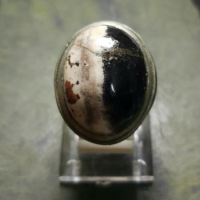 Fosil Galih Kelor Hitam Putih - Cincin Batu Akik