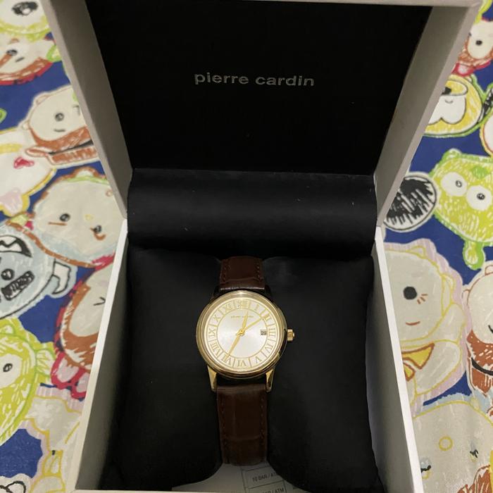 pierre cardin