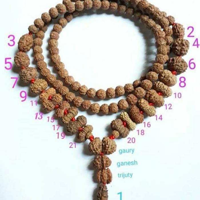 Mala 108 rudraksha 1 mukhi to 21 mukhi