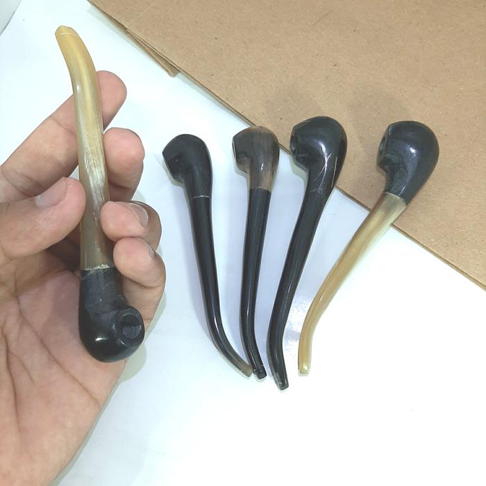 Pipa Anting Tanduk Sapi