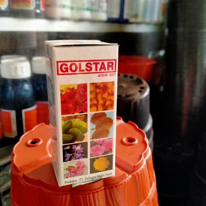 Goldstar//Jat Tumbuh Bunga&Buah.