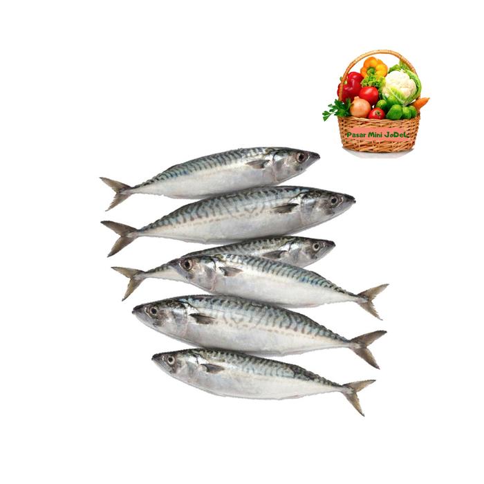 PASAR ONLINE MURAH - IKAN KEMBUNG BANJAR 500grm