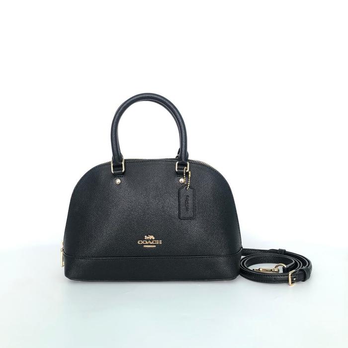 Coach mini siera