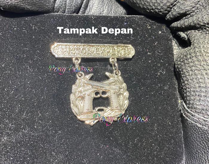 Usmc Lapel Pin Badge Gun Revolver Colt Expert