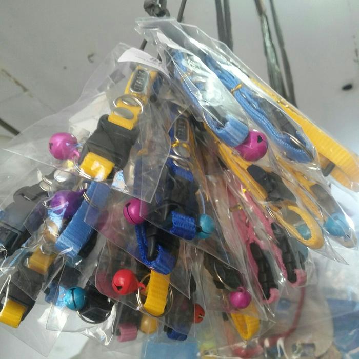 KALUNG KECIL untuk kucing