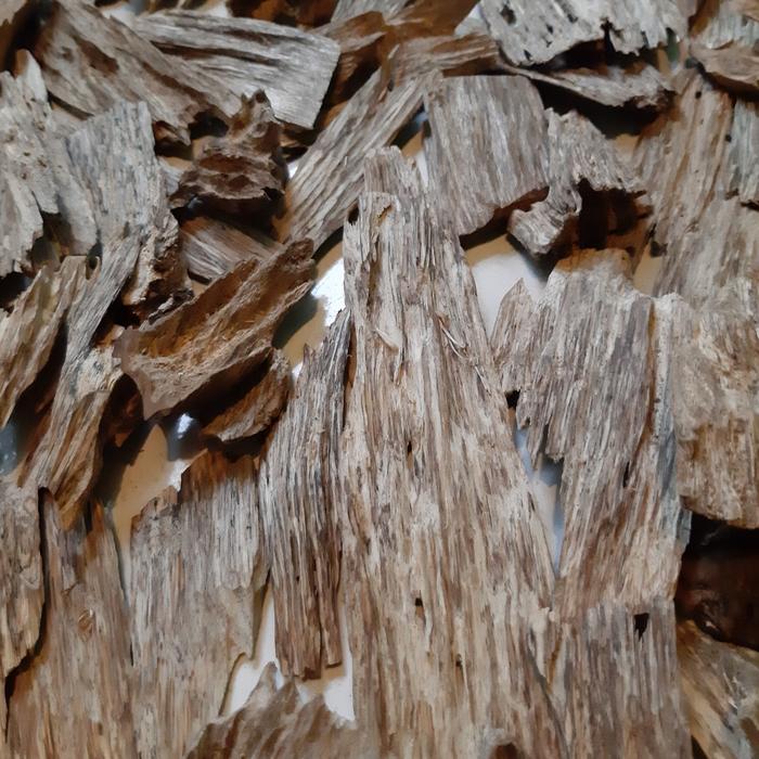 Kayu gaharu AB Super asli alami SUMBAWA KGSB02