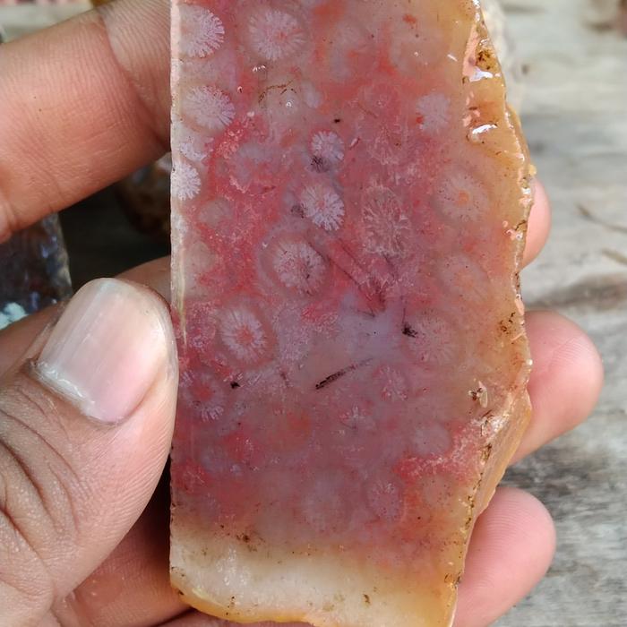 akik teratai merah lempeng