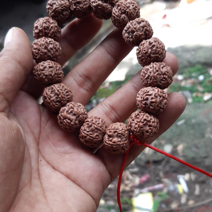 gelang rudraksha mukhi 7
