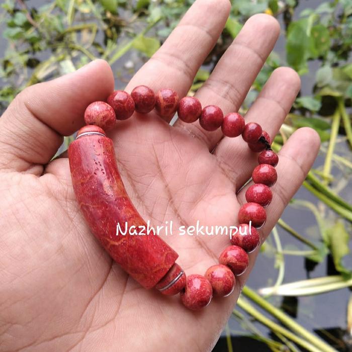 gelang cemeti ali akar bahar merah