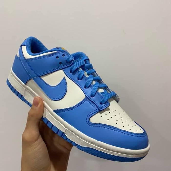 Nike Dunk Low Coast Blue