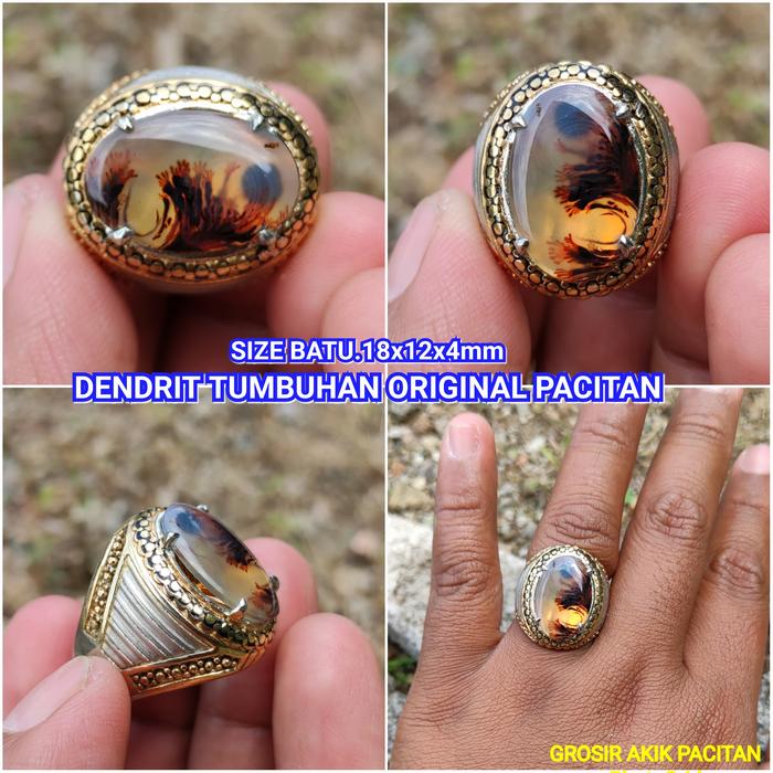 DENDRIT TUMBUHAN ORIGINAL PACITAN LANGKA