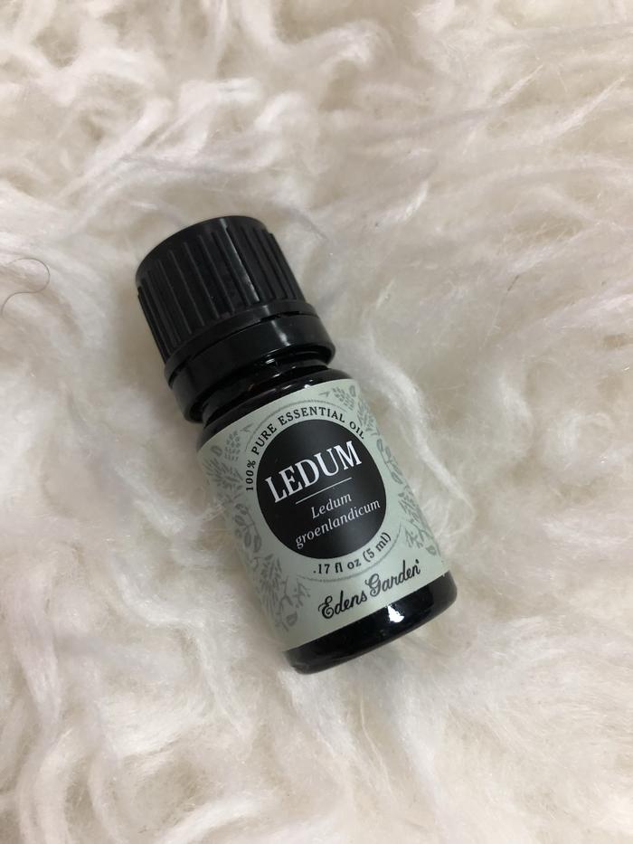 Ledum Essential Oil. 5 ml. Edens Garden