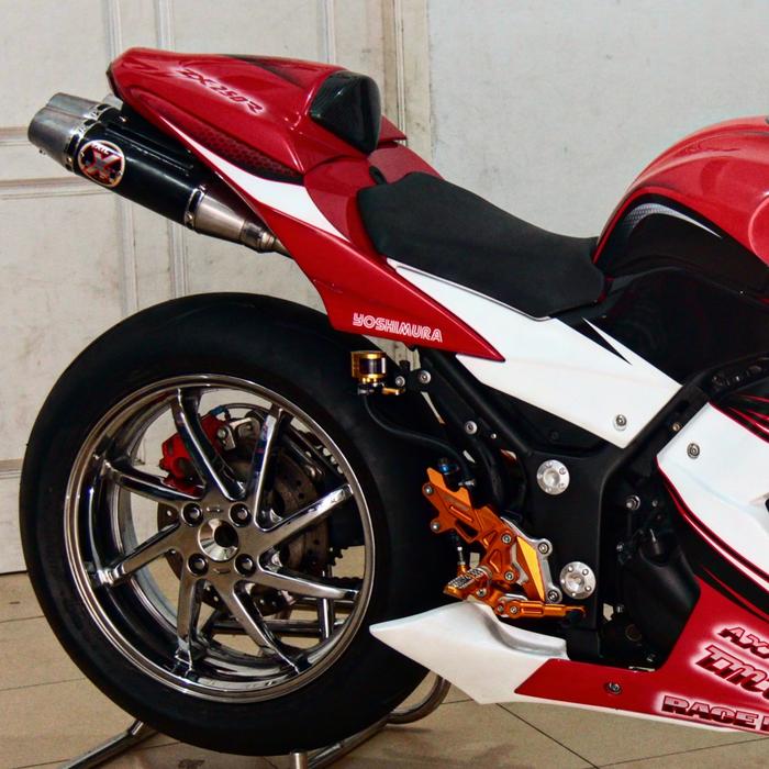 Limbah Moge PNP Ninja250 N250 Proarm Mono Arm 5.5 inch