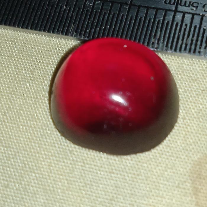 batu cyklop merah papua asli siklop papua merah