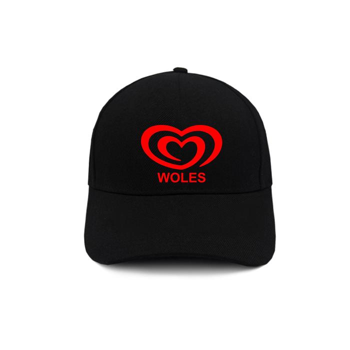 Topi baseball caps pria premium woles