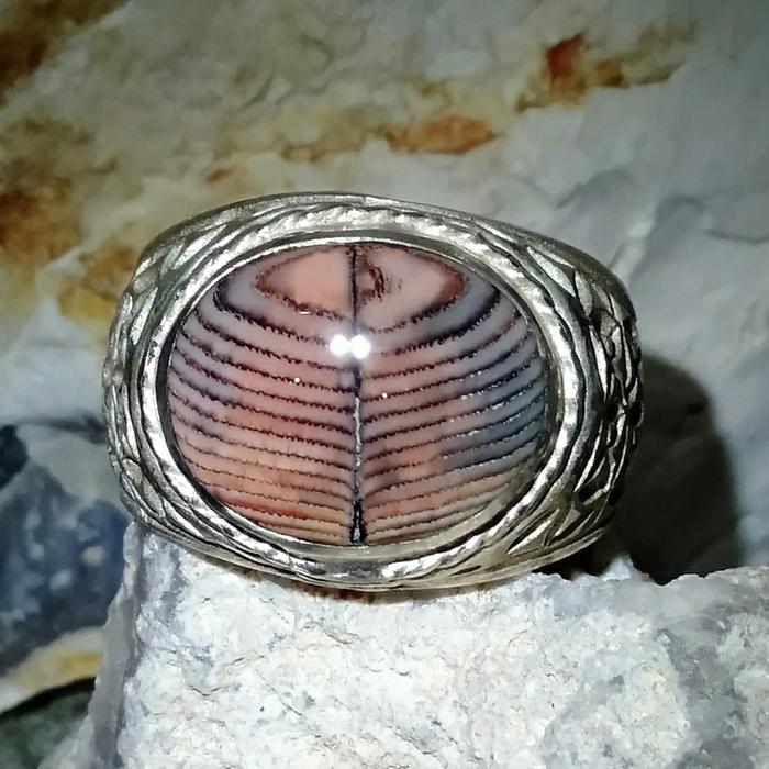 JHIPEN BLARACK SINERET Batu Fosil Asal Madura Unik Antik utk dikoleksi