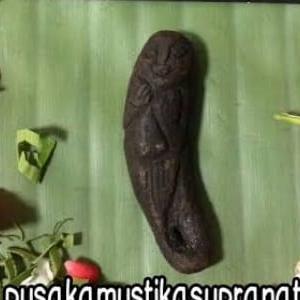 PUSAKA MUSTIKA TEMUAN ASLI DUYUNG FOSIL