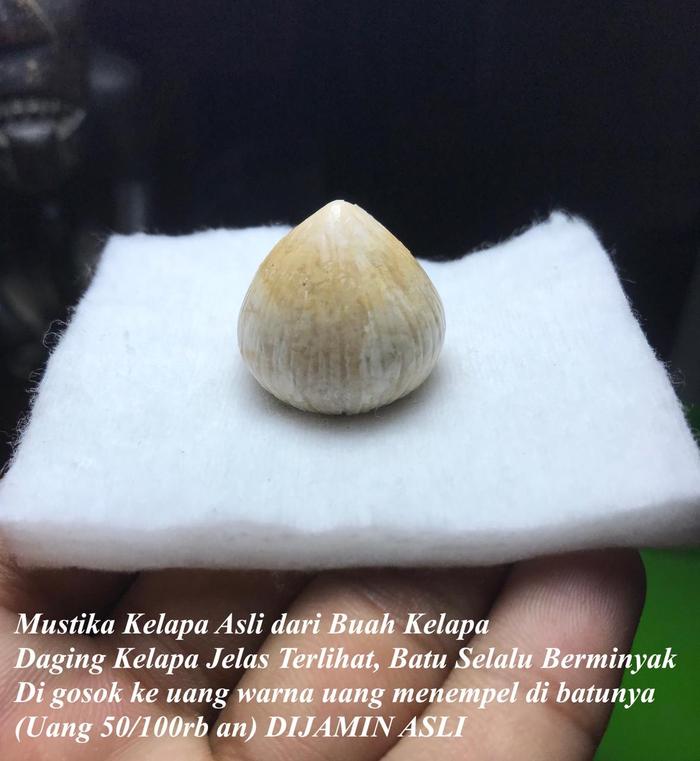Batu Kelapa Asli dari Buah Kelapa Asli Tumbung