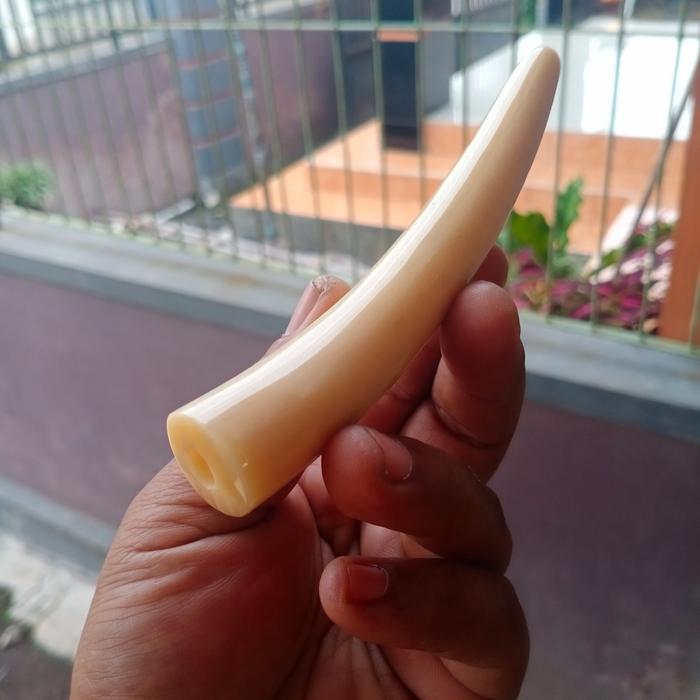 PIPA ONCE IGA DUYUNG P12CM BULAT