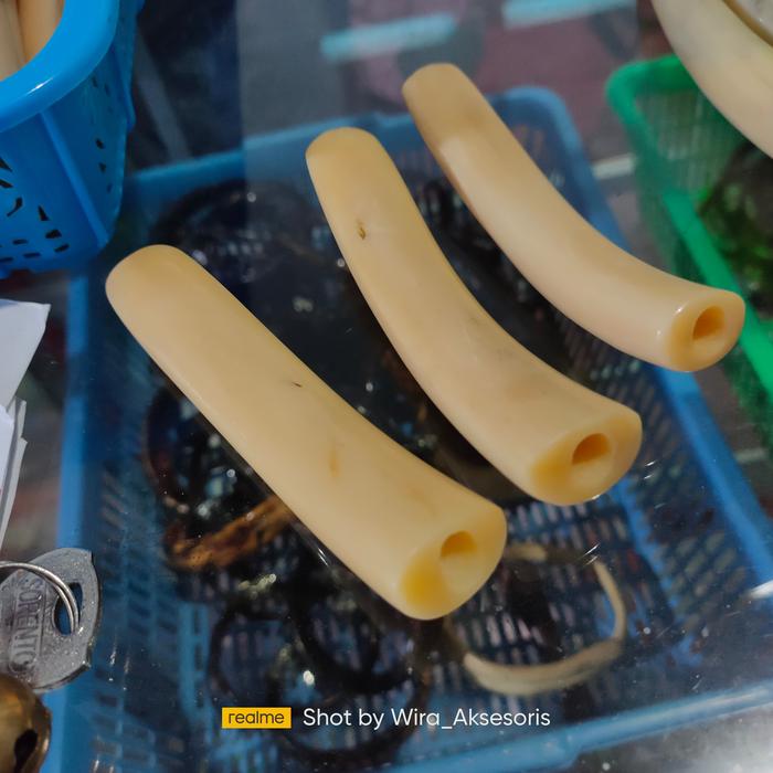 pipa once iga duyung 10cm / padud