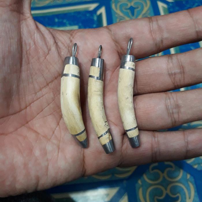 cemeti ali akar bahar putih
