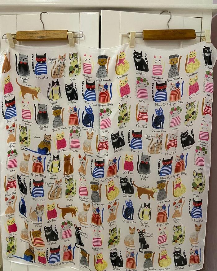 Scarf Cat (Kucing)