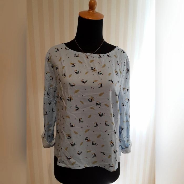 blouse colorbox