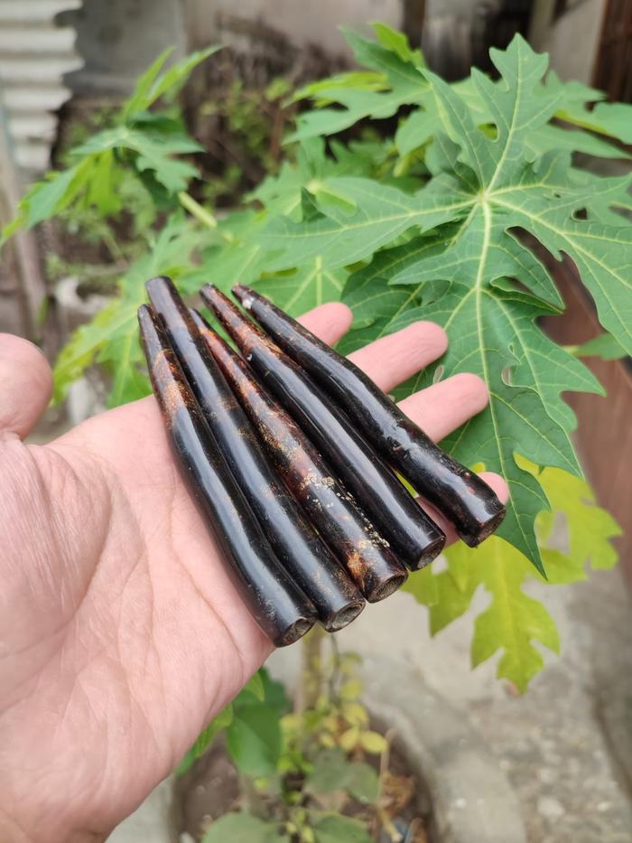 Pipa once akar bahar padudan tali arus berkualitas