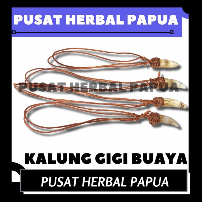 Kalung Gigi Buaya Asli