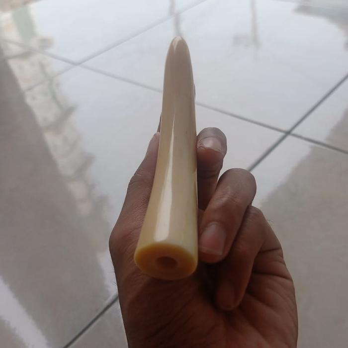 pipa once iga duyung pucuk 10cm