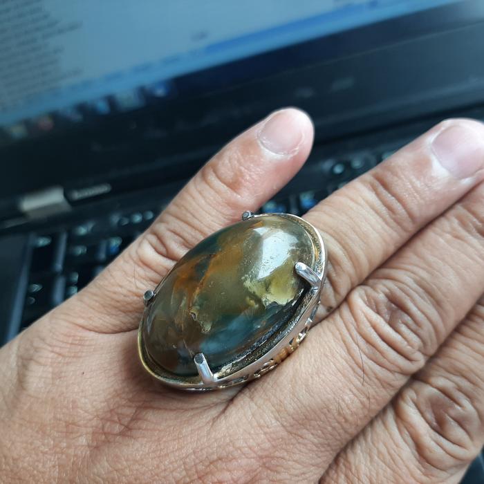 Bacan Coklat Size Jumbo