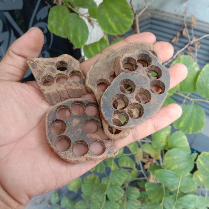 Kayu gaharu kalimantan 1kg kayu gaharu bakar kayu gaharu asli kayu