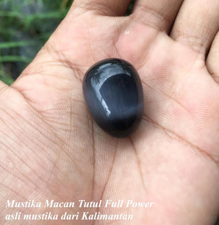 Batu Mustika Macan Hitam Alami Kalimantan 01