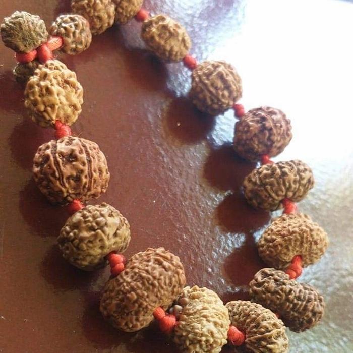 Gelang brecelet rudraksha 1 mukhi to 14 mukhi