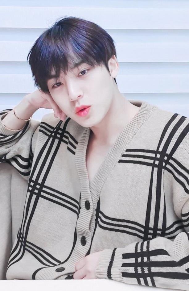 CARDIGAN MINGYU YUTA NCT PREMIUM TEBAL