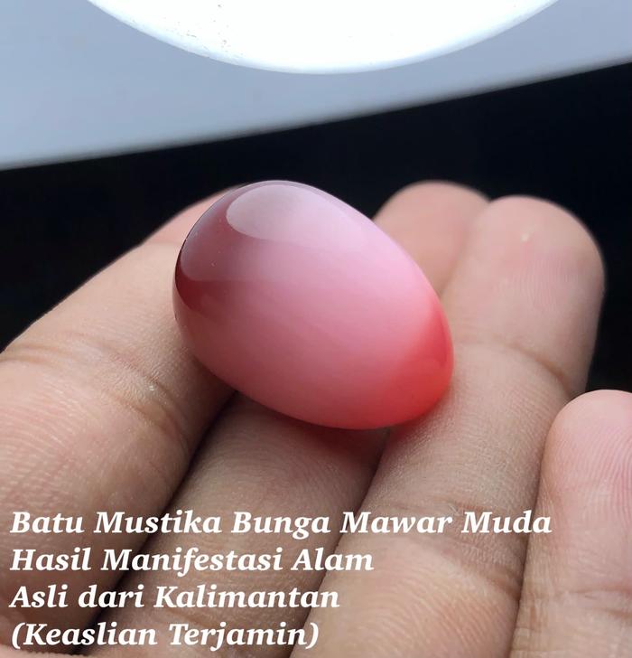Batu Mustika Bunga Mawar Muda Asli dari Kalimantan