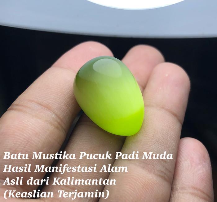 Batu Mustika Puncuk Padi Asli dan Langka dari Kalimantan