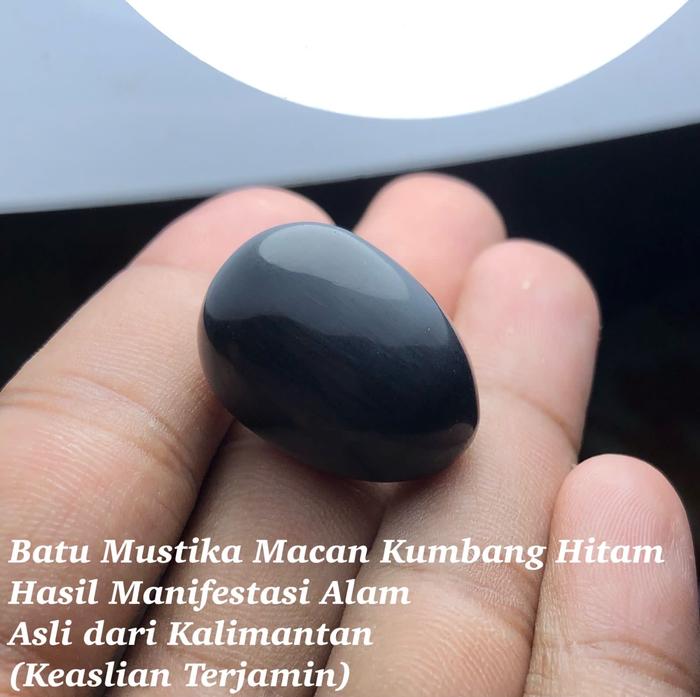 Batu Mustika Macan Kumbang Asli dari Kalimantan