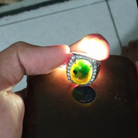 bacan coklat bacok lawasan