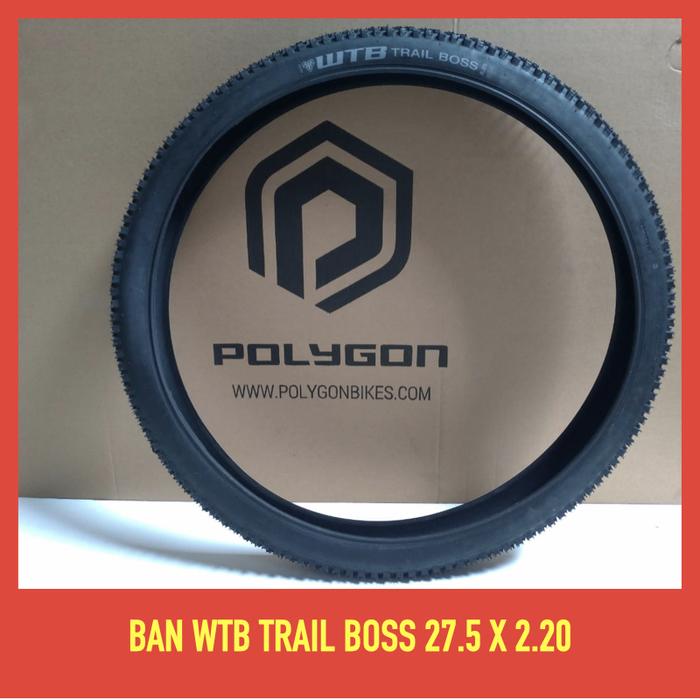 ban luat WTB Trail Boss 27.5 x2.25