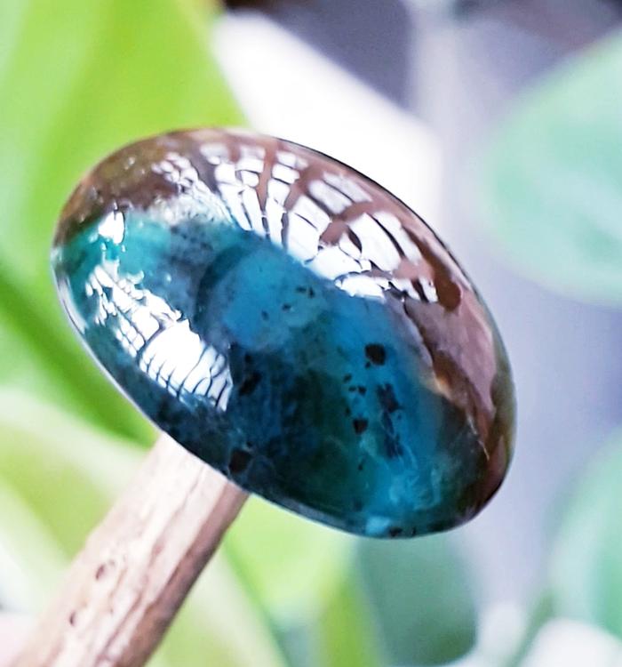 Bacan Doko Majiko totol coklat kristal Size Kantoran mumbul
