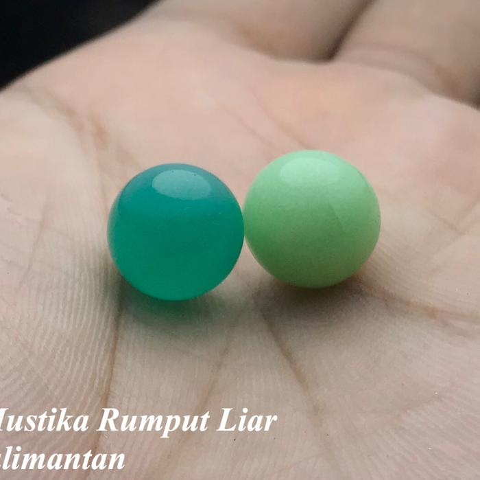 Batu Mustika Rumput Liar Sepasang Asli Kalimantan