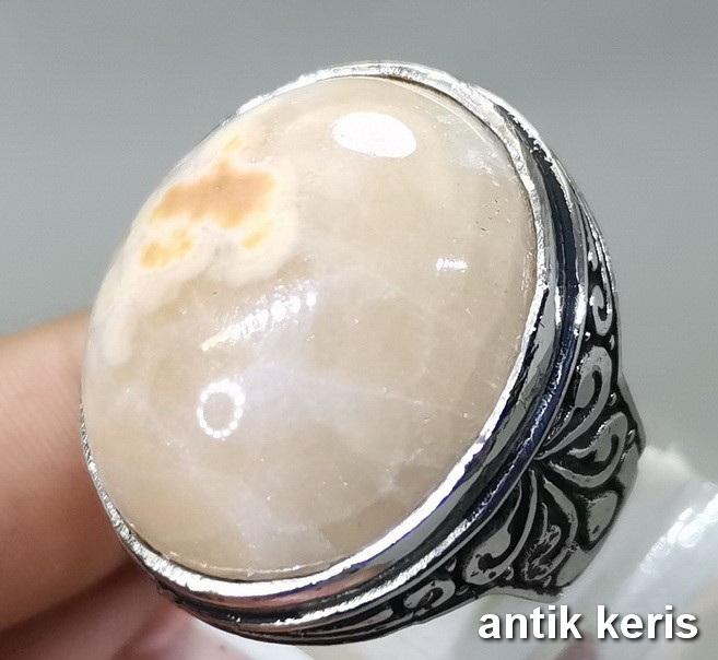 Batu F0sil Akik ManiGajah Kristal Asli Natural Ukuran Jumbo