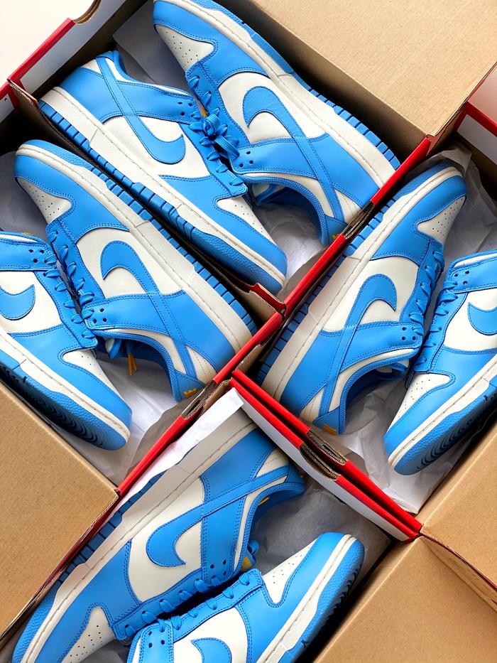 Nike Dunk Low Coast Blue (W)