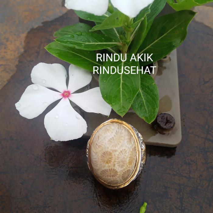 Batu akik asli natural akik