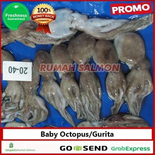 Baby Gurita Segar Beku 1 kg / baby gurita frozen/ baby octopus murah