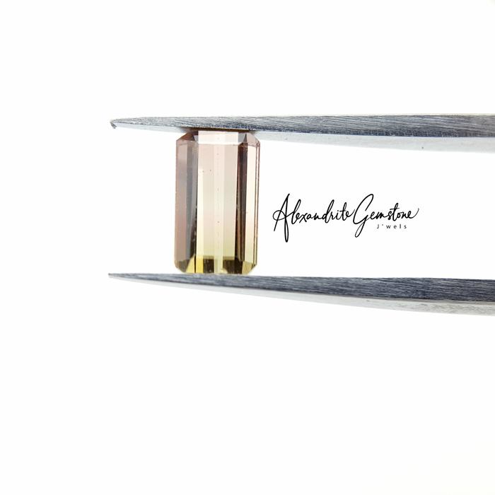 Natural Bicolor Tourmaline No Heat Afghanistan T0221003 - AG Jewellery