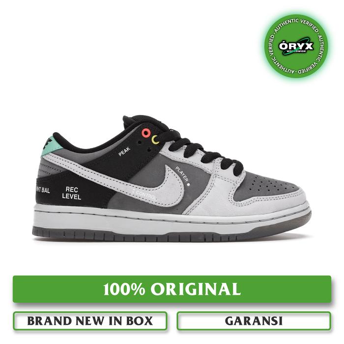 Nike SB Dunk Low Camcorder